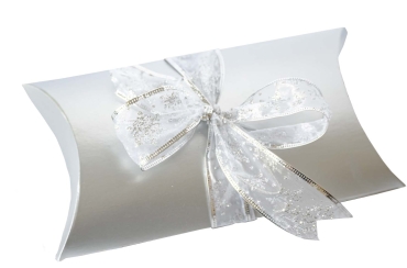 silver pillow box with white background